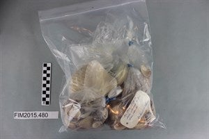 Image description is not available for DUXX.143